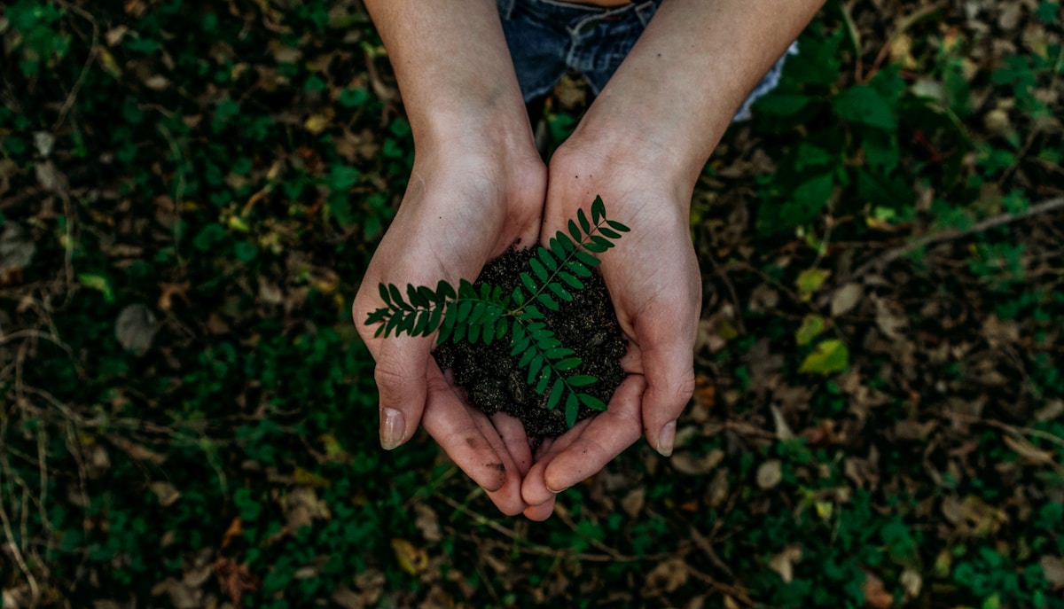 How to Plan an MVP That Can Grow